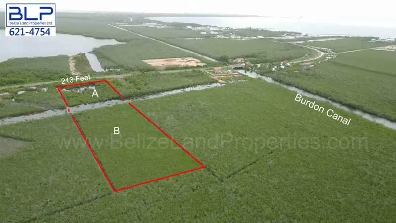 4.5 Acre Commercial Property, Mile 6.5 George Price Highway