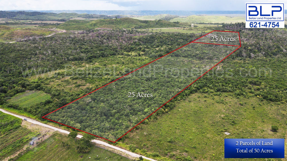 50 Acres of Farmland For Sale in Cayo, Belize, Near Valley of Peace Cayo