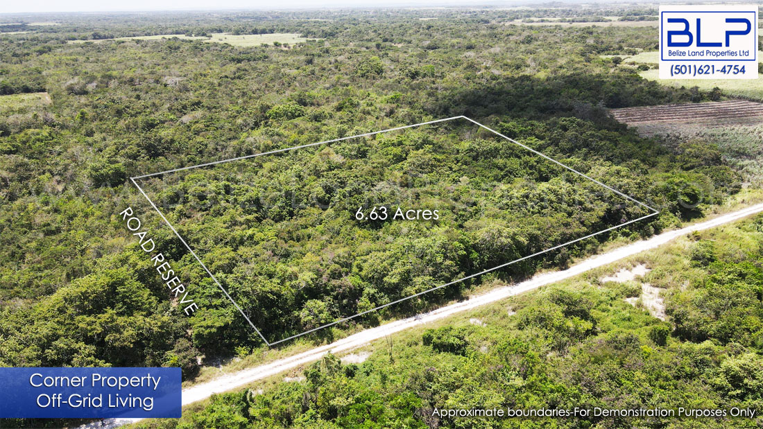 6.63 Acre Farmland for Sale