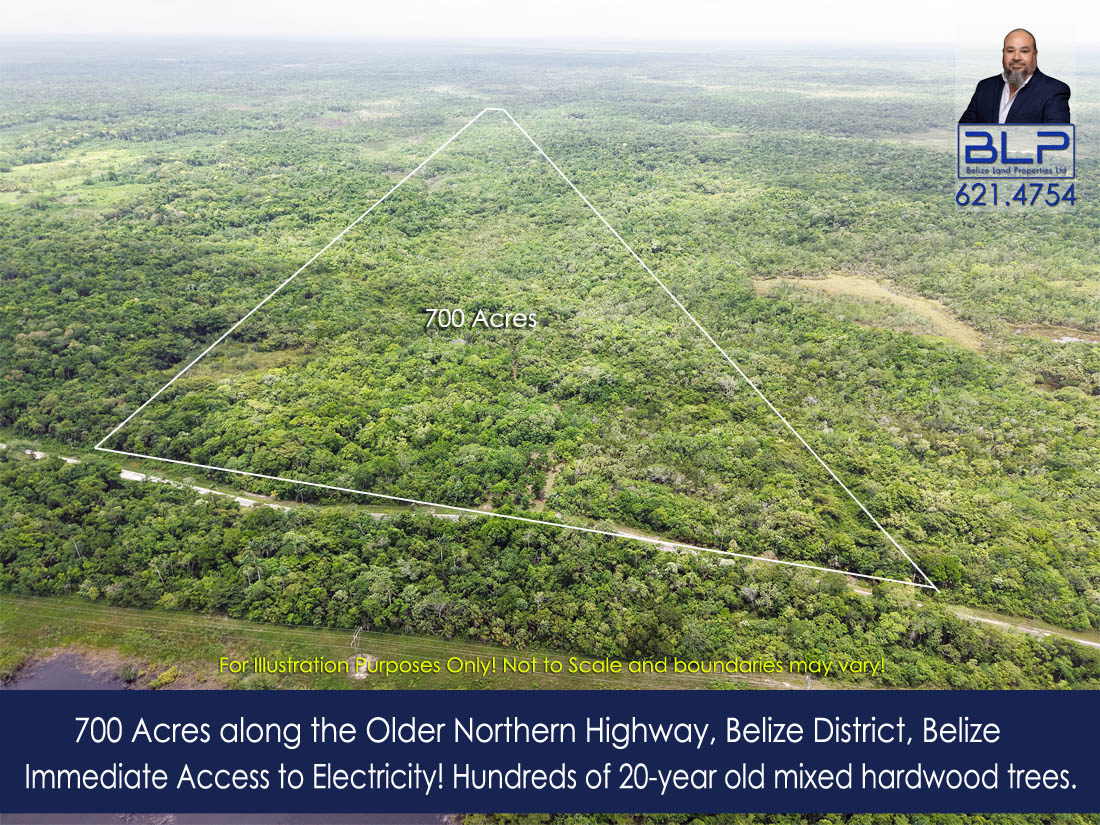 700-Acre Investment Land with Mixed Hardwood on Maskall Road, Belize