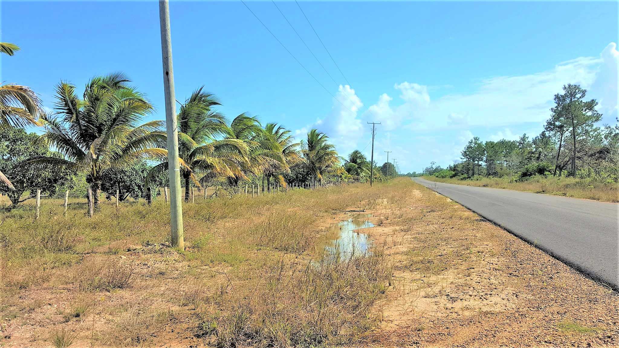 BZ126: CALL FOR AVAILABILITY AND PRICE! 3 BEDROOM HOME ON 99.809 ACRES, ISABELLA BANK! BELIZE RETIREMENT PROPERTY! BUY IN BELIZE!