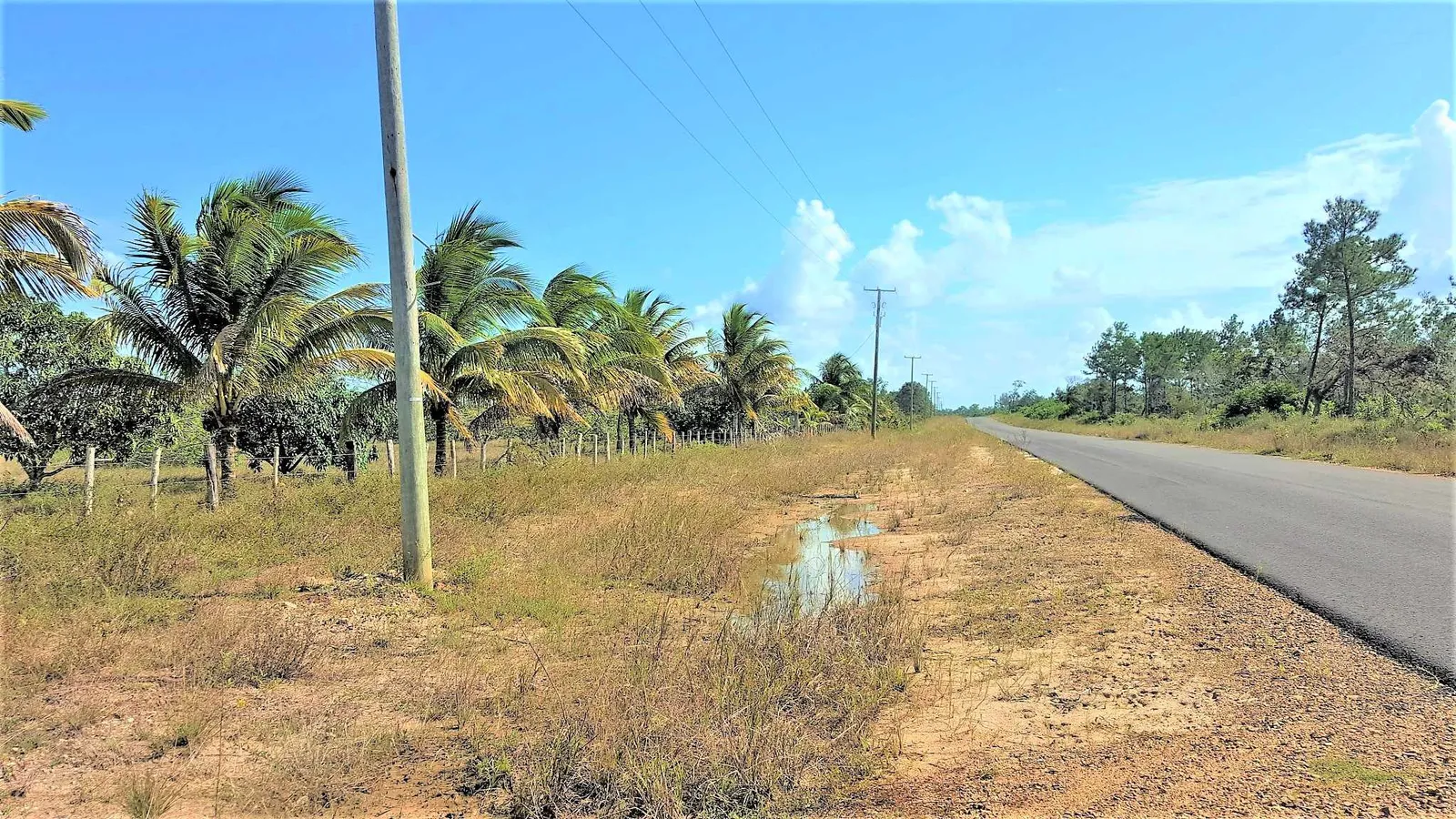 BZ126: CALL FOR AVAILABILITY AND PRICE! 3 BEDROOM HOME ON 99.809 ACRES, ISABELLA BANK! BELIZE RETIREMENT PROPERTY! BUY IN BELIZE!