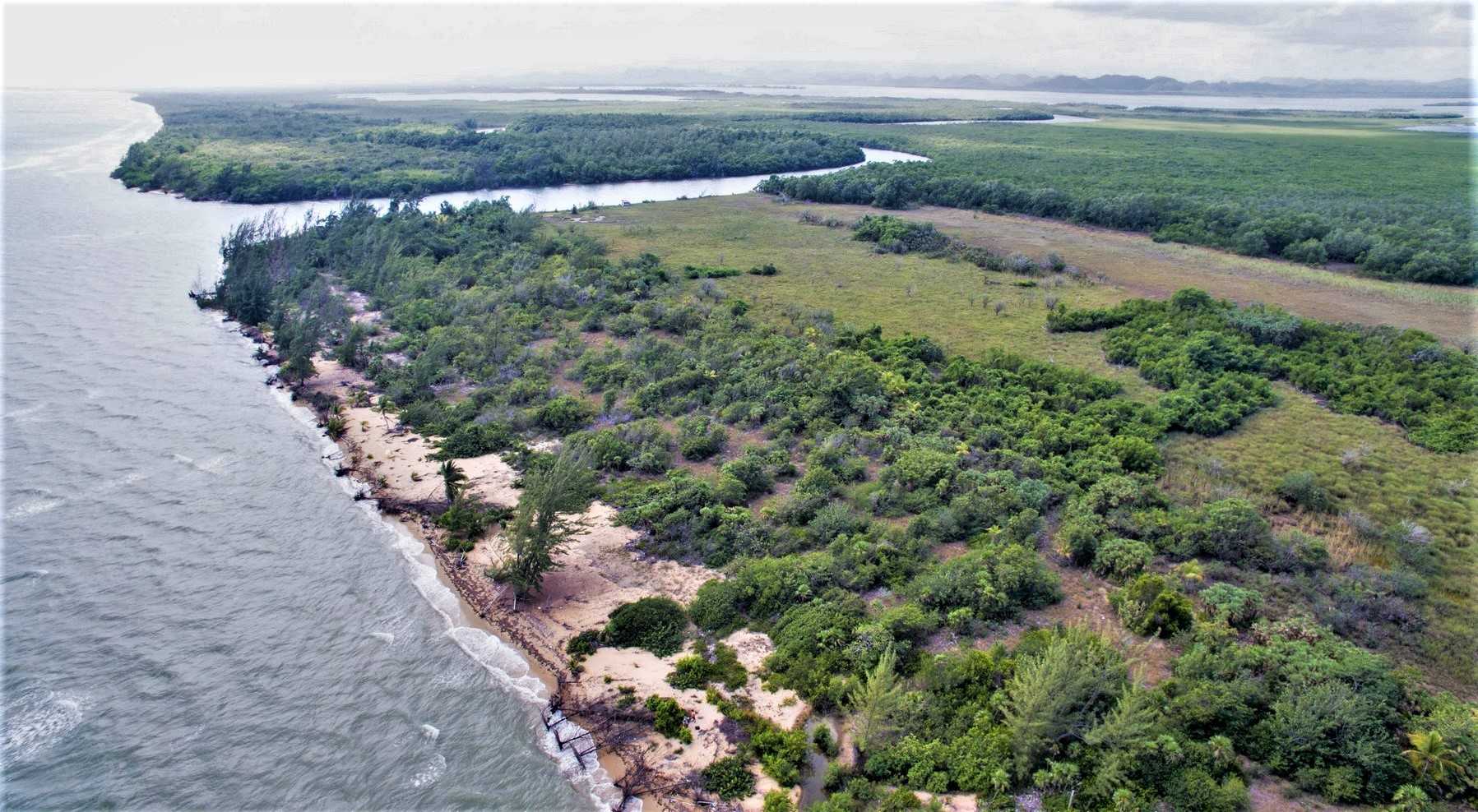 BZ141: PRISTINE 700 OF BEACH FRONT PROPERTY NORTH OF MANATEE BAR, BELIZE DISTRICT!