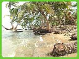 BZ22:PRIME 2.18 ACRES WITH 133.84 FEET BEACH FRONT NORTH OF SIBUN RIVER, BELIZE DISTRICT