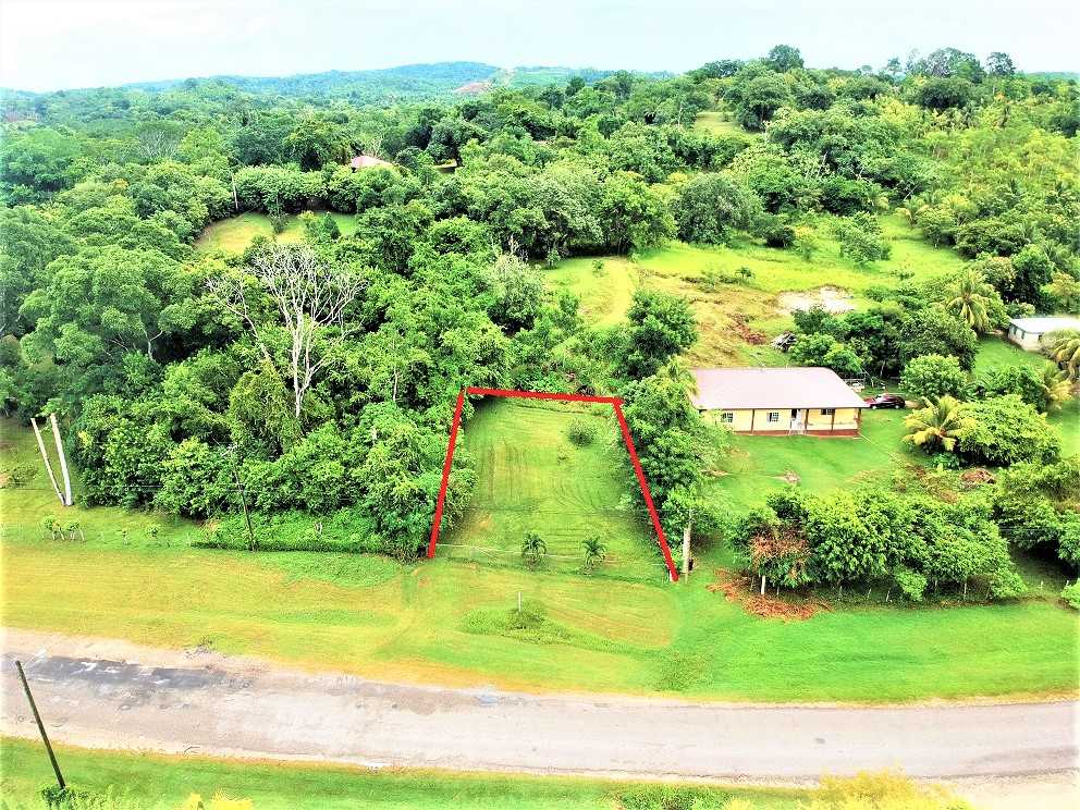 Half-Acre Hillside in Unitedville Cayo