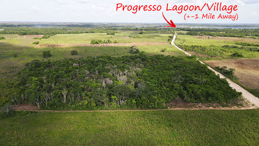 CZ61: 8.08 ACRE FARM MINI FARM PROPERTY 1 MILE FROM PROGRESSO LAGOON! FARMLAND FOR SALE IN BELIZE!