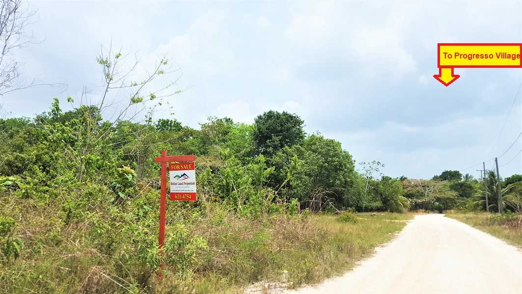 CZ62: 2.3 ACRES SECOND ROW LOT FROM PROGRESSO LAGOON, COROZAL!