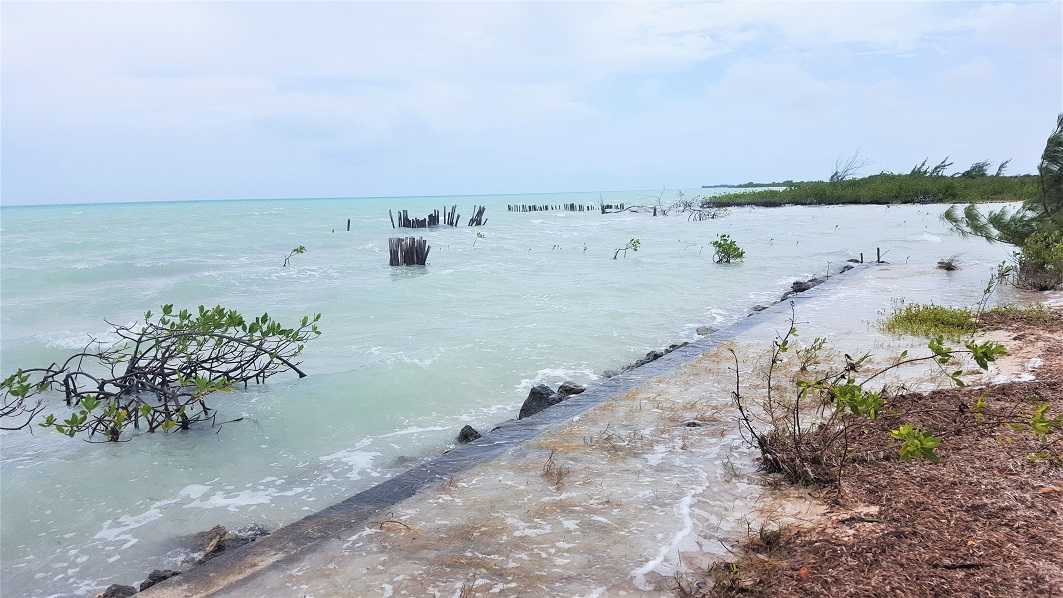 CZ64: 3.5 ACRES WITH 200 FEET OF BEACHFRONT IN ROCKY POINT, EAST OF SARTENEJA, COROZAL! BEACH LAND FOR SALE COROZAL! BUY BEACH IN BELIZE! BELIZE REAL ESTATE! REAL ESTATE IN BELIZE