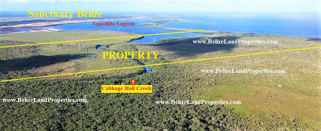 SC95: 2,369 ACRES WITH +-3,680 FEET BEACHFRONT, SAPODILLA LAGOON AND CABBAGE HALL CREEK FRONTAGE!