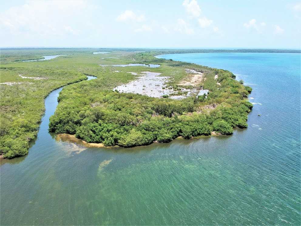 SC99: REDUCED! 15.026 ACRES WITH OVER 1,000 FEET SEA & OVER 1,500 FEET CREEK, SOUTH OF SITTEE RIVER, STANN CREEK DISTRICT!