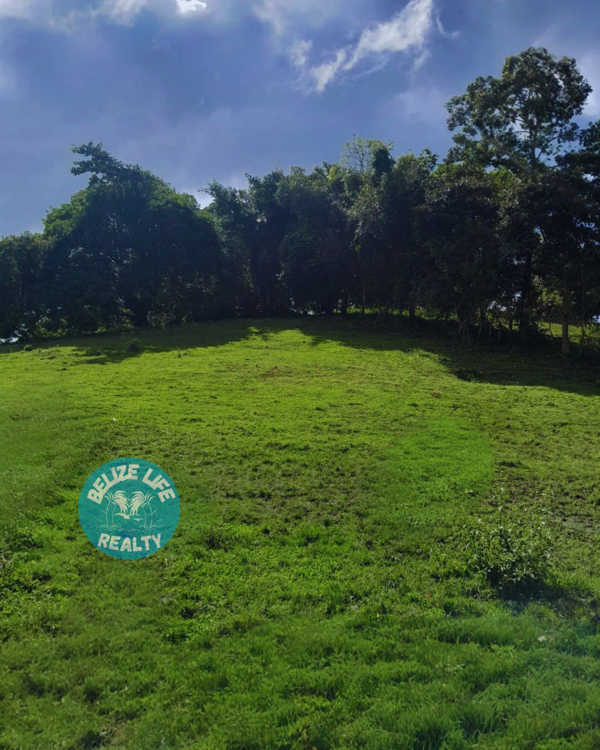 Tranquil Acreage