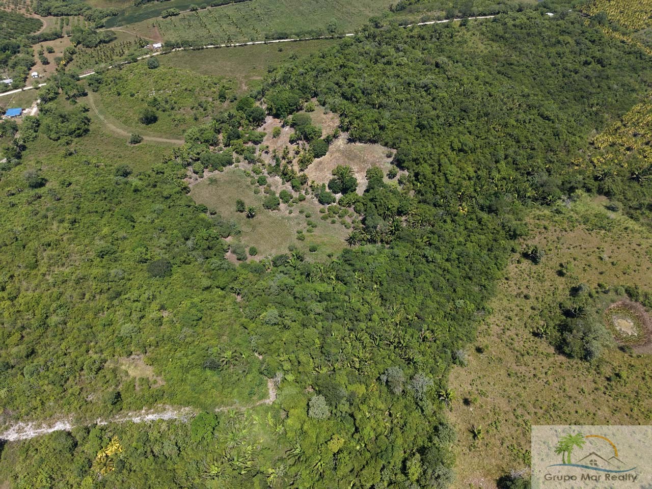 16 Acre Belize Farm