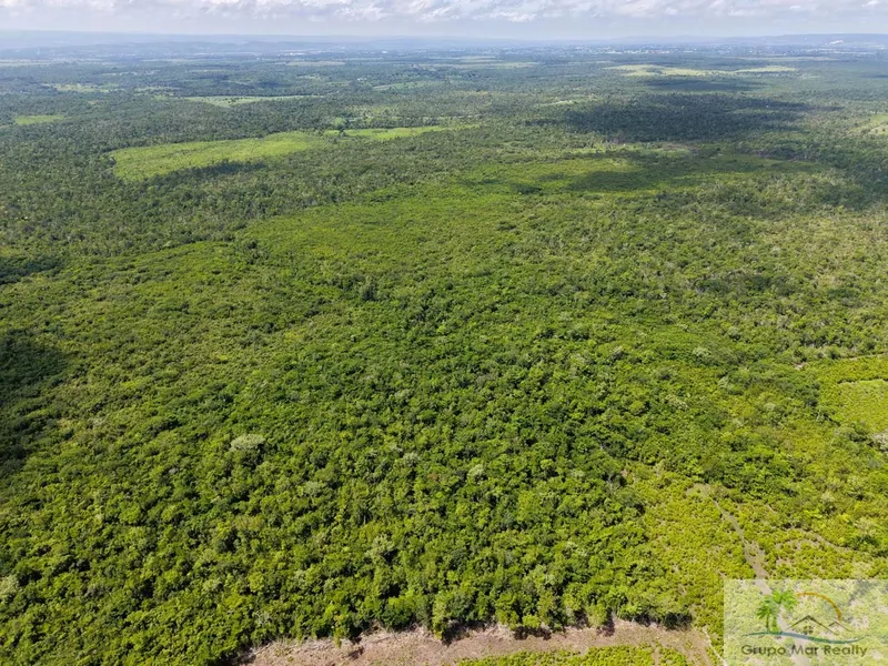 Belize 29 Acre Cayo Jungle Property
