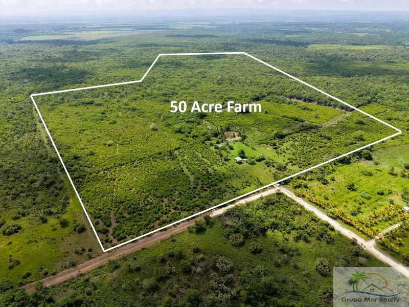 Belize 50 Acre Farm with Fruit Trees