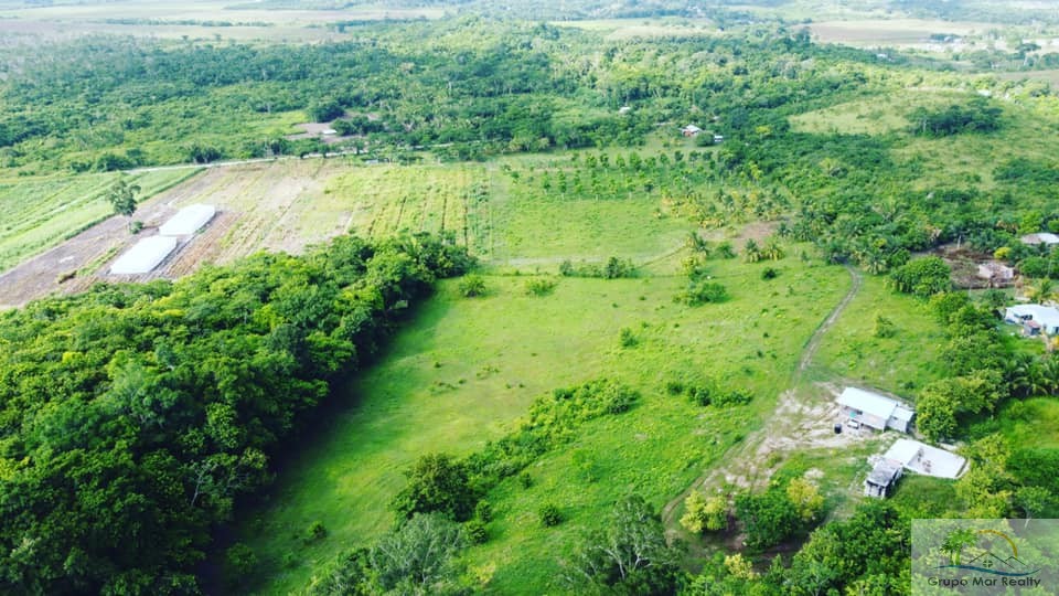 Belize Farm Near Spanish Lookout