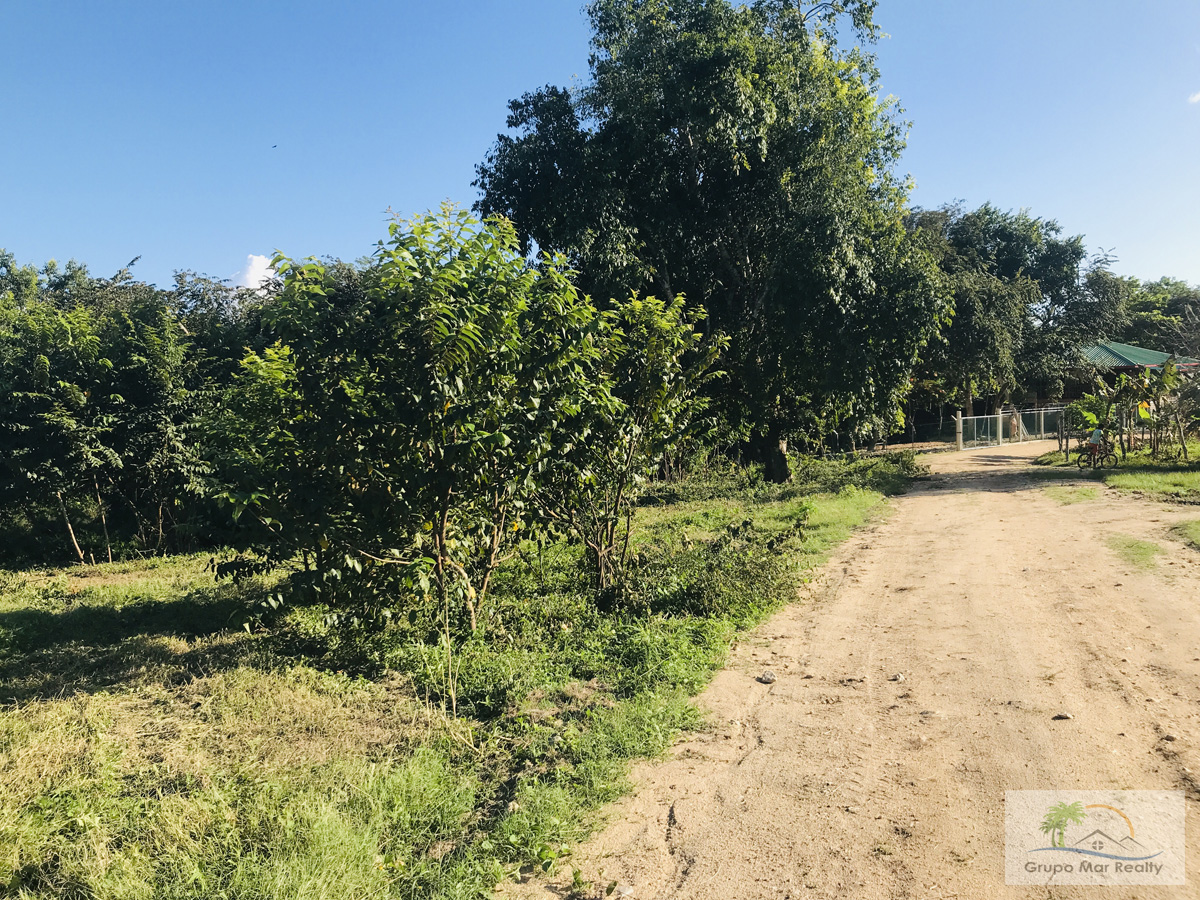 Large Belize River lot