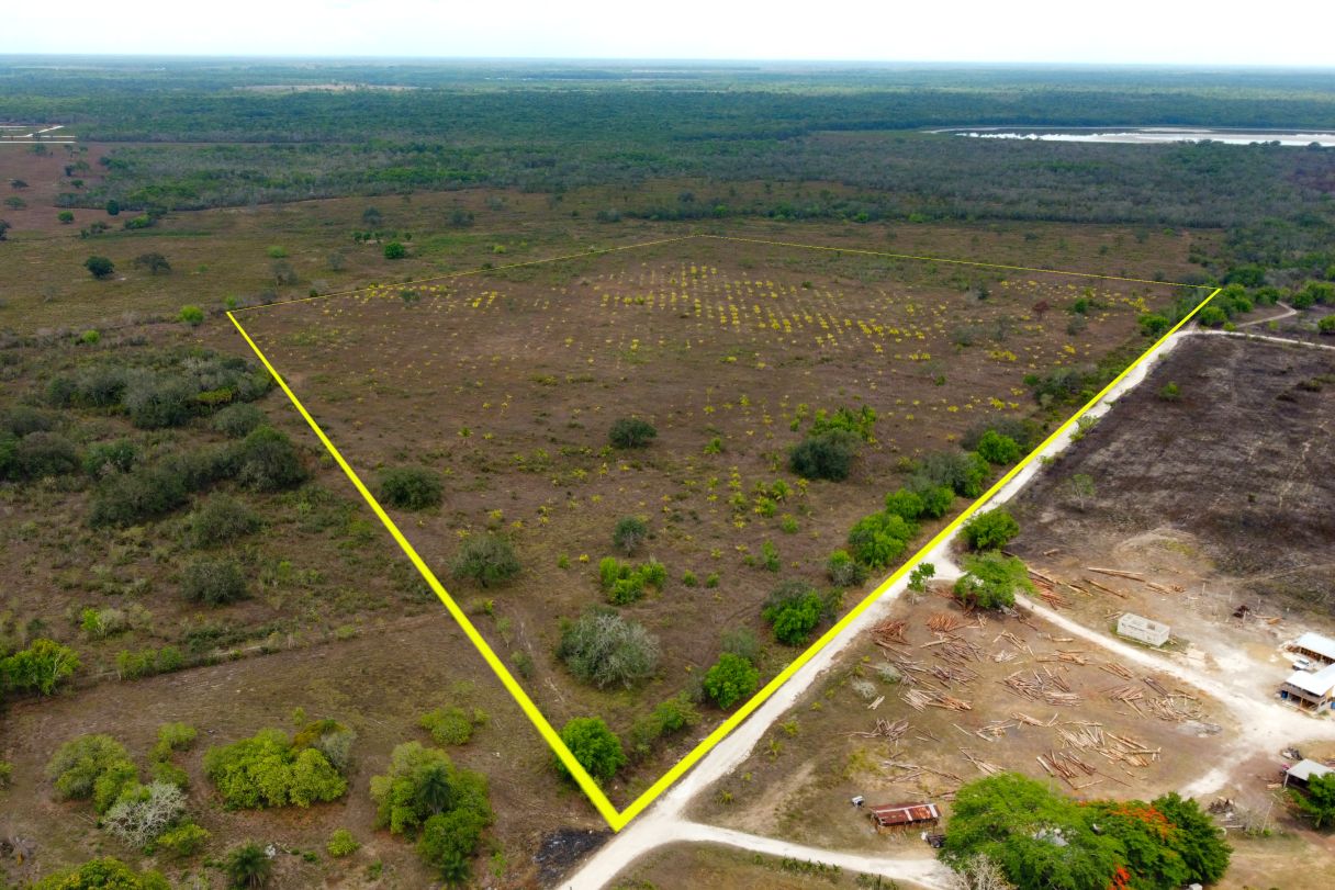 Listing 3001 – 46.5 Acres of High & Fertile Farmland | Carmelita, Orange Walk District