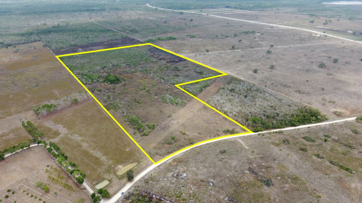 Listing 3002 – 50 Acres with Road Frontage | 15 Minutes to Orange Walk Town