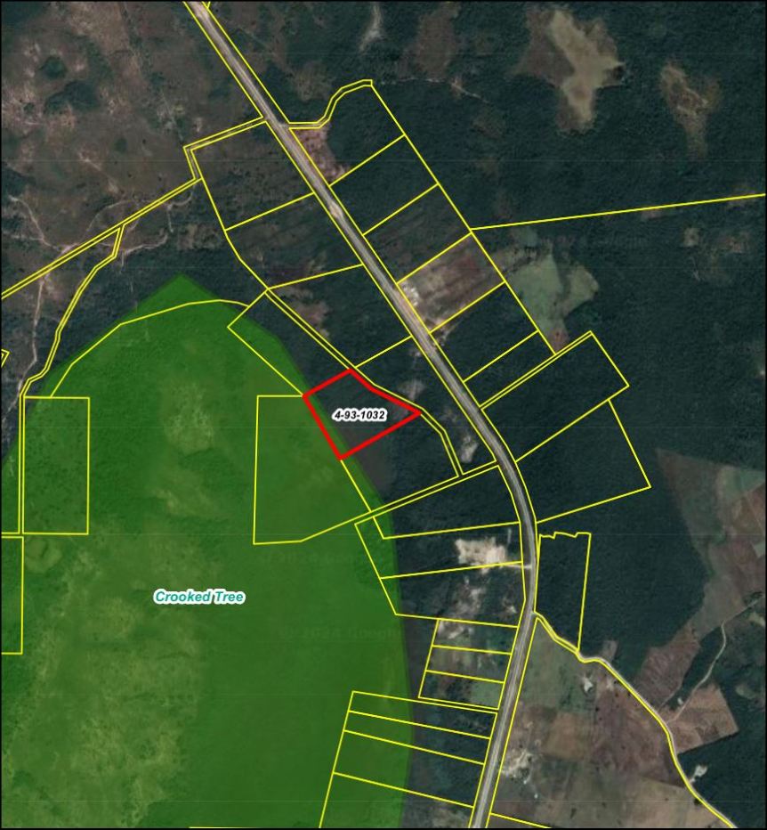 18.26 Acres Near The Main Highway in Orange Walk PRICED TO SELL!
