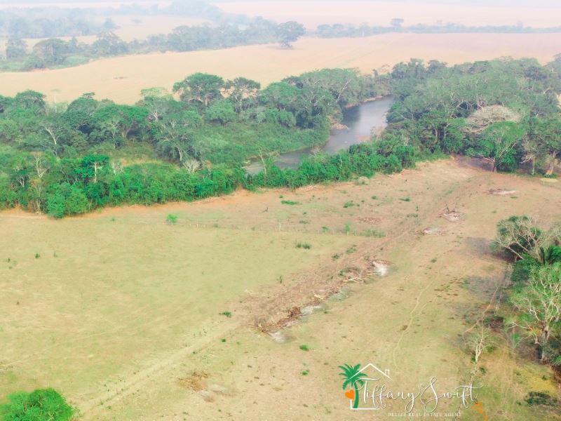 #4213 – 151 ACRES OF LAND + 500′ BELIZE RIVER FRONTAGE near Spanish Lookout, Cayo District, Belize