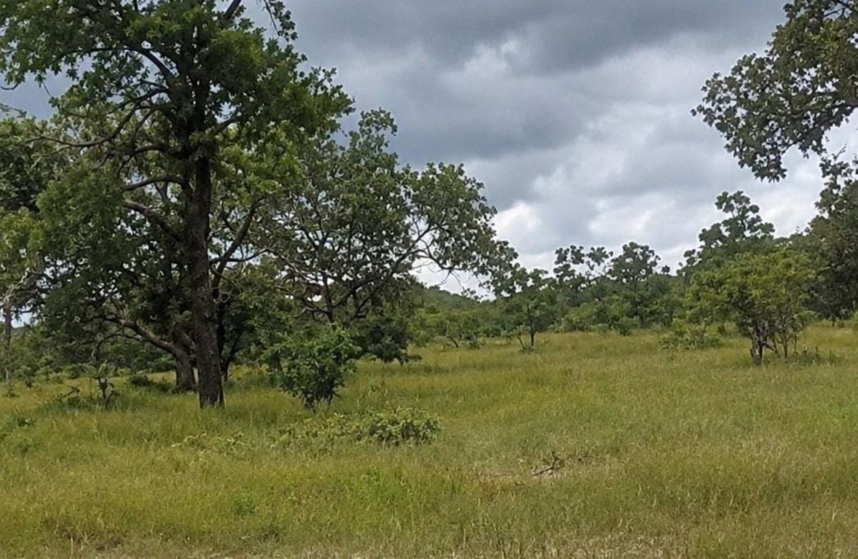 200 ACRES OF PRIME COUNTRY LAND