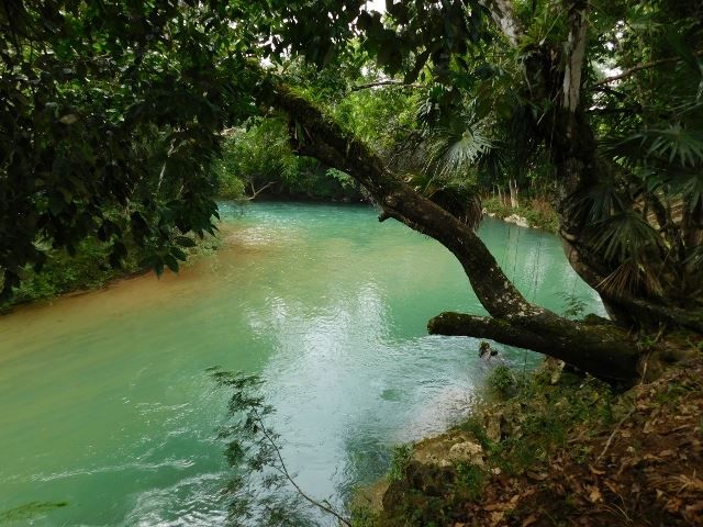 #2527 – 100 ACRES OF RIVERSIDE LAND CLOSE TO BELMOPAN, CAYO DISTRICT.