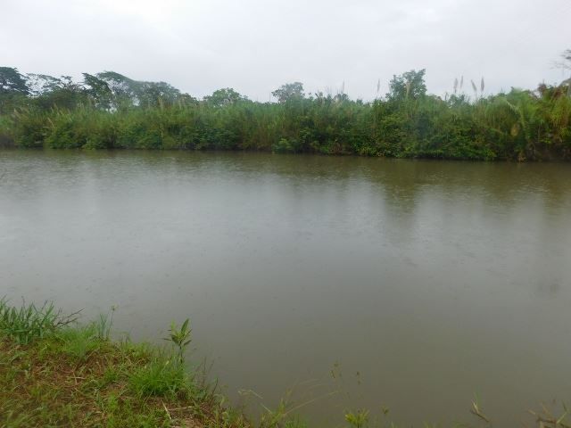 #2510 – 70 ACRES + RIVER – STANN CREEK DISTRICT, BELIZE.