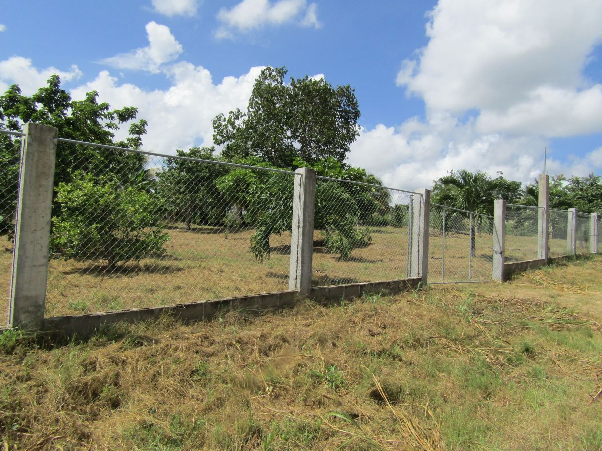 #2537 – 2 ADJACENT RESIDENTIAL OR COMMERCIAL LOTS IN SAN IGNACIO.