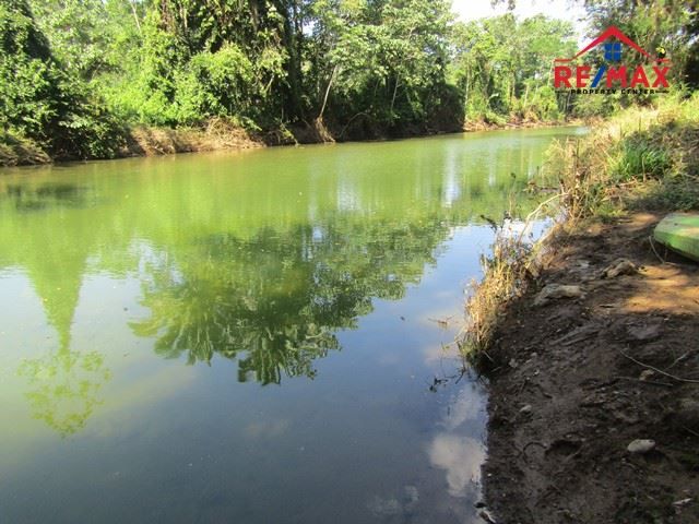#2521 – EIGHT PARCELS OF VACANT RAINFOREST LAND NEAR BELMOPAN, BELIZE.