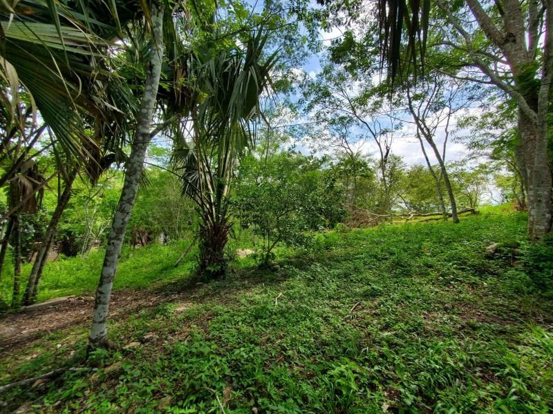 # 4087 – Hilltop Property 2.98 Acres of Land – Succotz Village, Cayo District, Belize