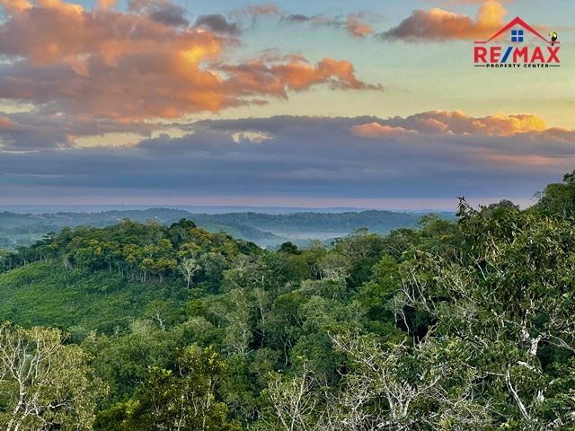 #2506 – LARGE RESIDENTIAL LOTS IN A RAINFOREST COMMUNITY