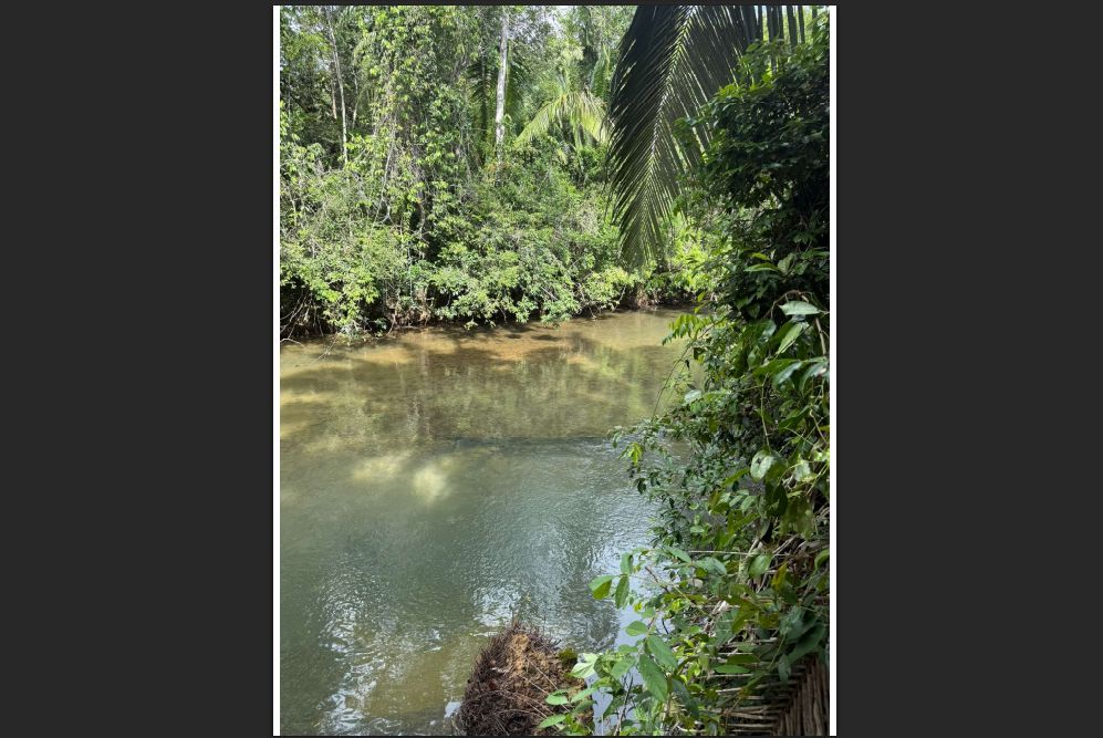 #4508 – Off-Grid Creekside Jungle Lot 1 – 2.91 Acres on Indian Creek near Darknight Cave Tubing, Caves Branch, Cayo District