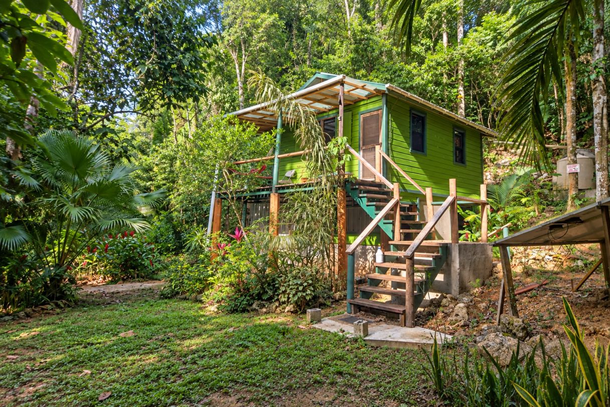 #4504 – Off-Grid Jungle Retreat, Lot #4 Water Hole Area, Cayo District