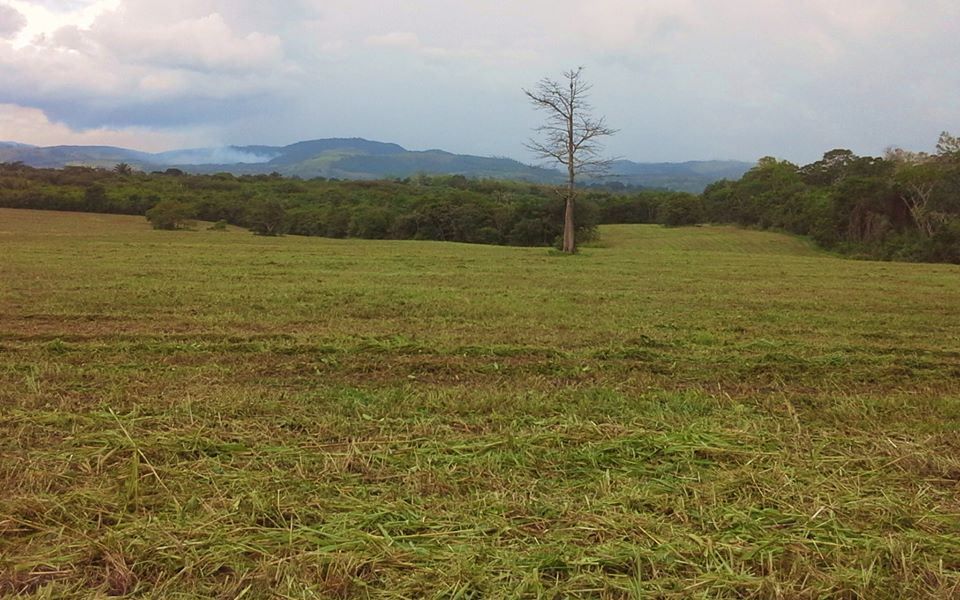 #2515 – ONE ACRE RESIDENTIAL LOTS – SAN IGNACIO, CAYO DISTRICT