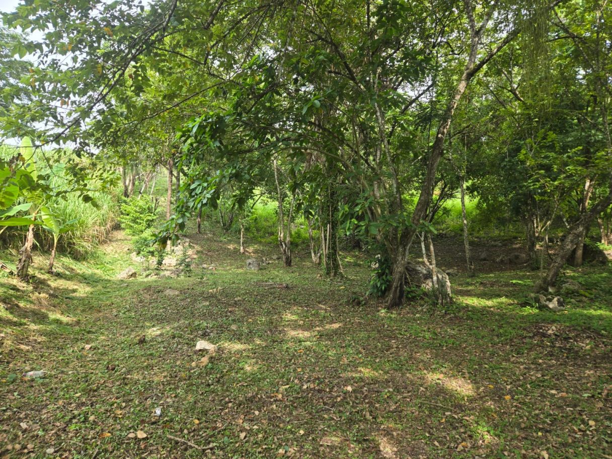 #6010 – Own Your Piece of Belize – O.72 Acres For 50K USD
