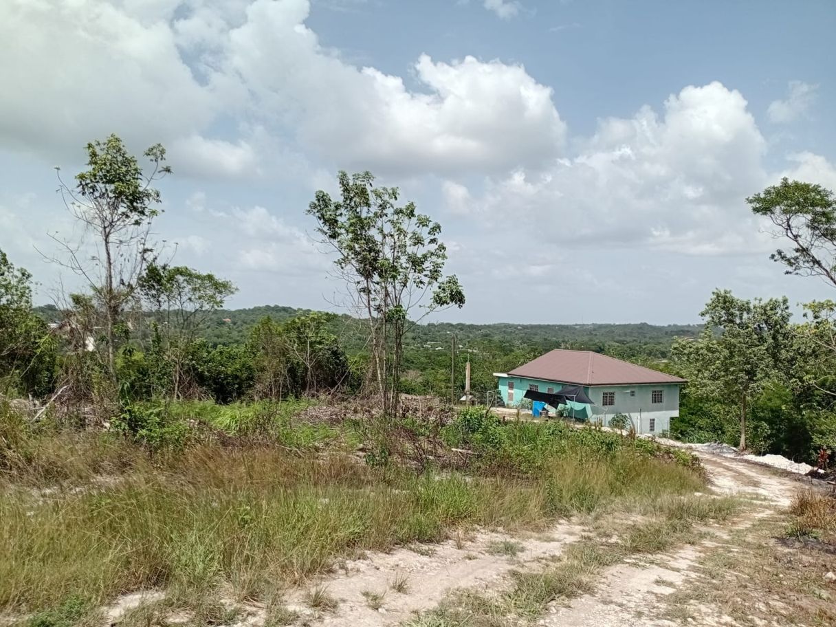 PRIME DEVELOPMENT OPPORTUNITY: Two Hilltop Lots in San Ignacio with Mountain Views