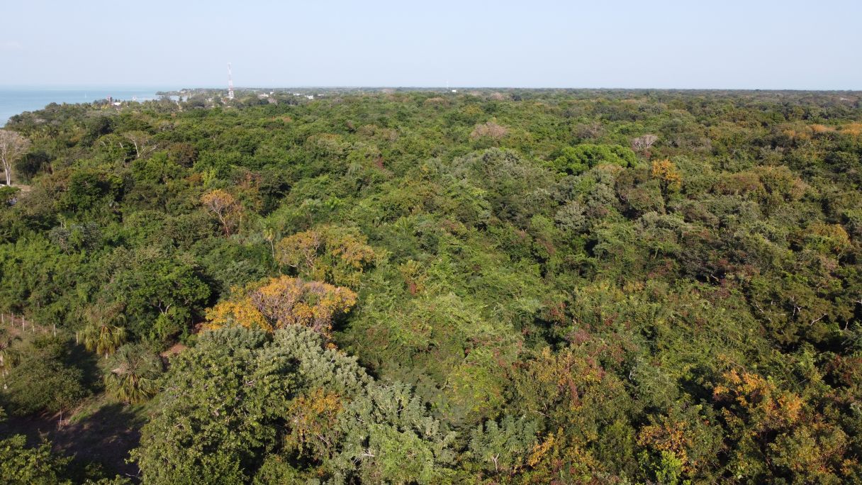 PRIME DEVELOPMENT OPPORTUNITY: 14.92 Acres at the Gateway to Sarteneja