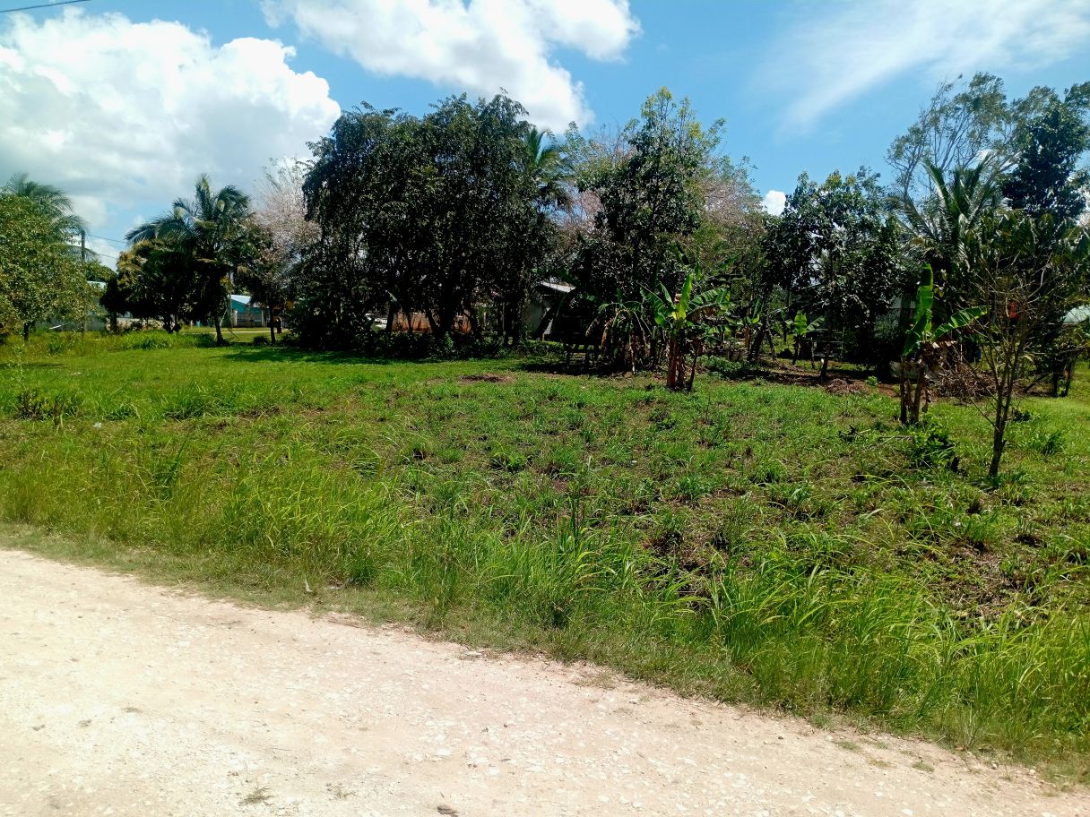 Residential lot in the peaceful village of Esperanza. Just 10 mins from San Ignacio.