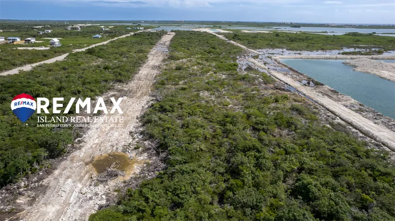 Secret Beach Lot for Sale in Habitat Belize – Eco-Community