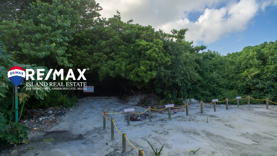 Exceptional Belize Building Lot in Mata Grande