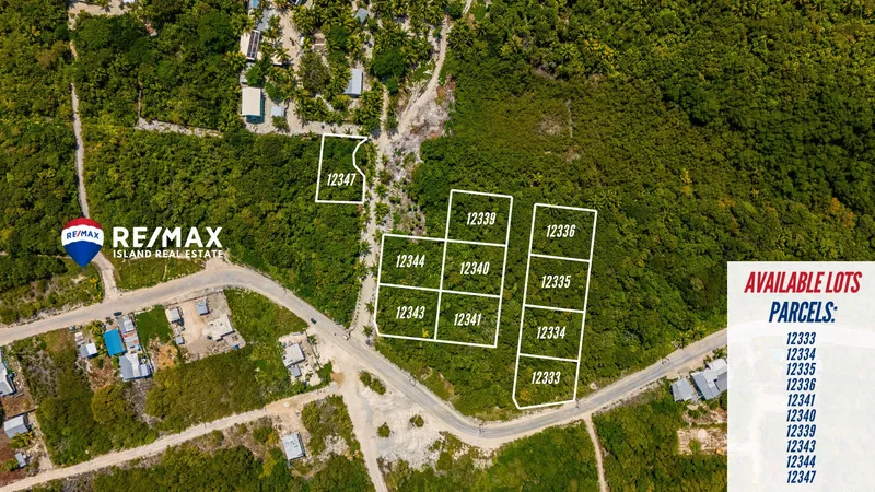 Affordable Land for Sale in North Ambergris Caye | Mile 7.5 Belize