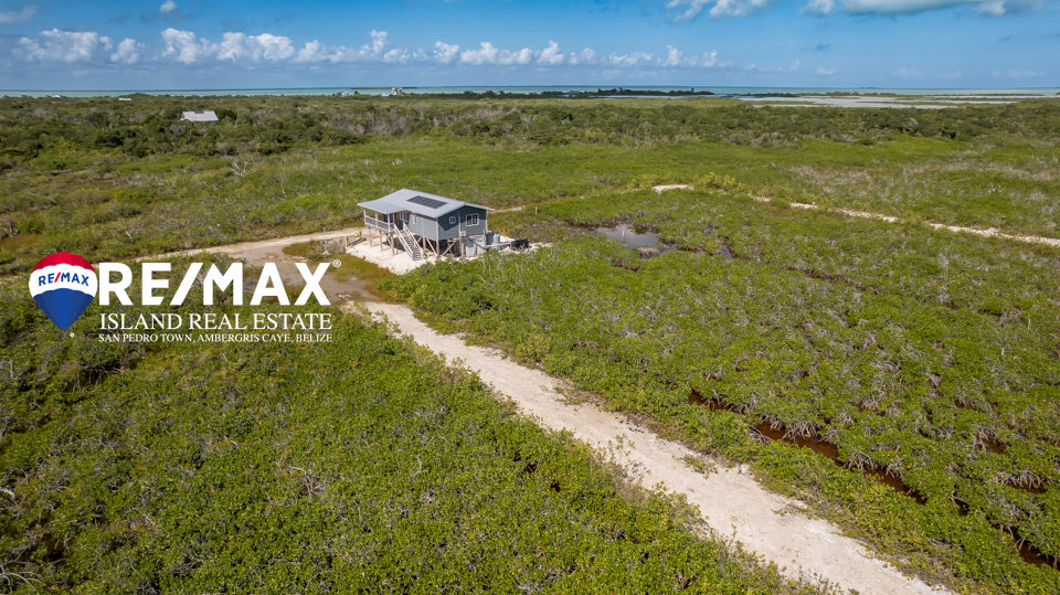 Prime Land in Palmaya Woods – Secret Beach Ambergris Caye