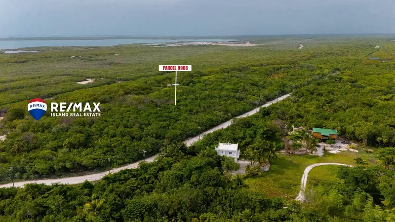 Affordable Belize Real Estate | Ambergris Caye Lot for Sale