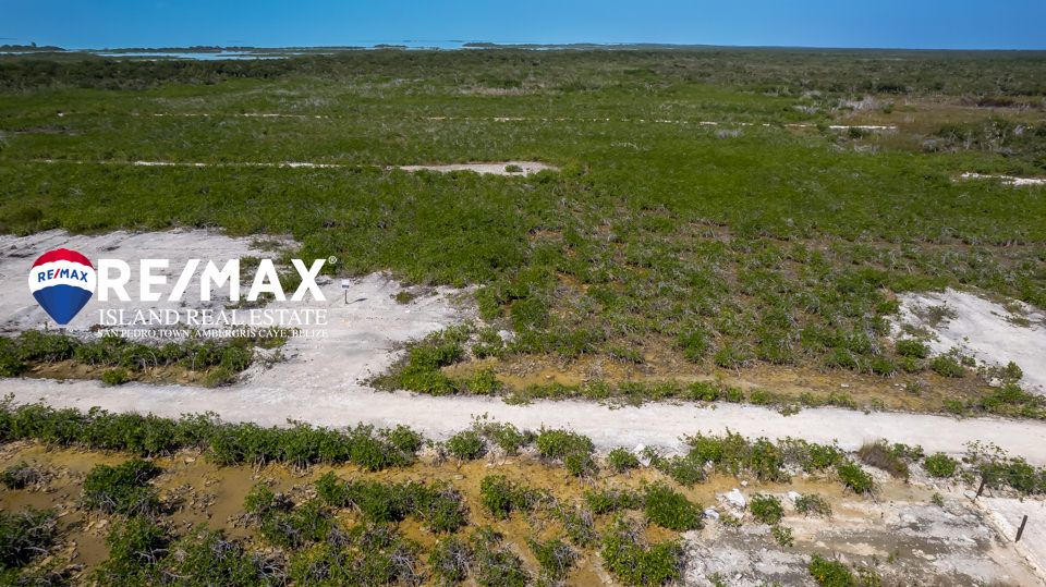 Palmaya Woods With 10 Year Financing