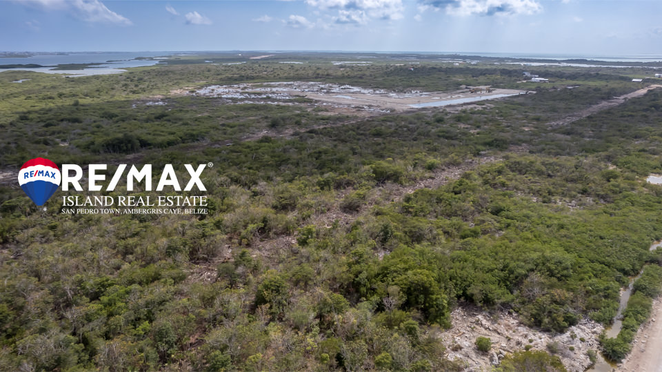 Habitat Lot in Secret Beach