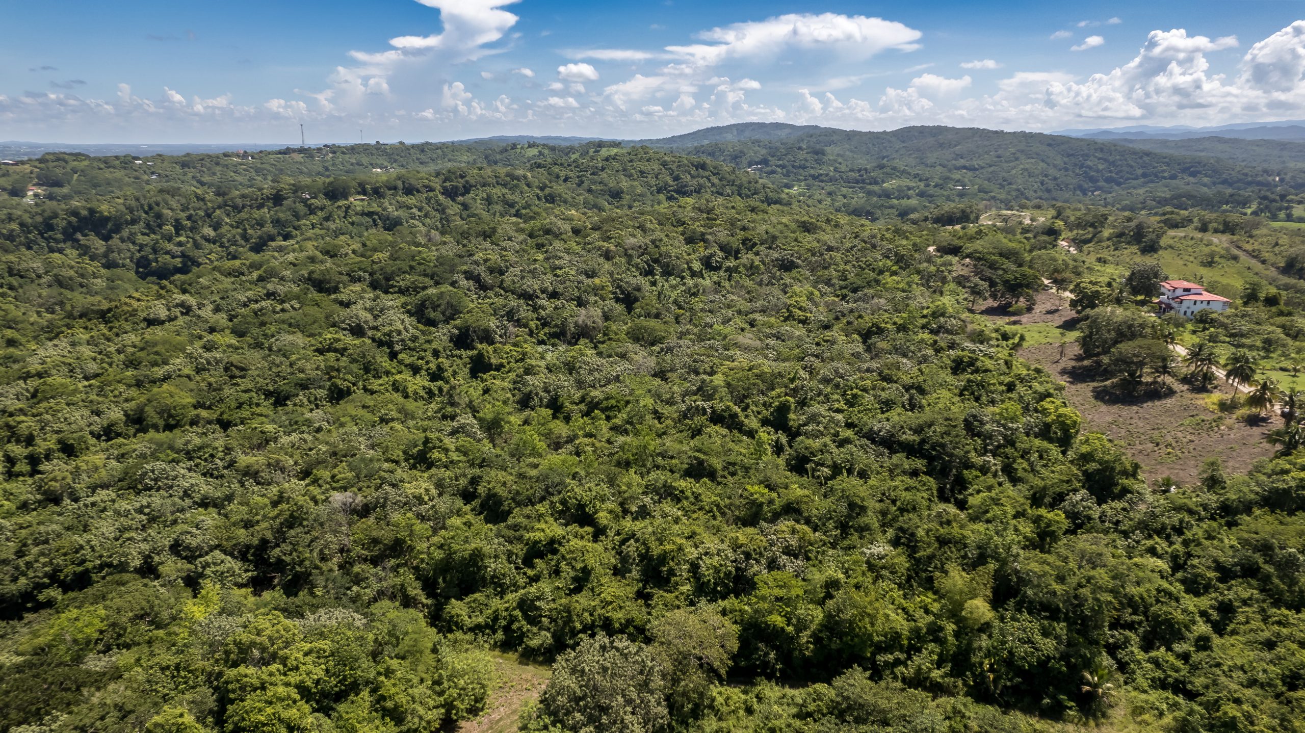 30-Acre Belize Property for Sale San Ignacio – Scenic Land with Creek