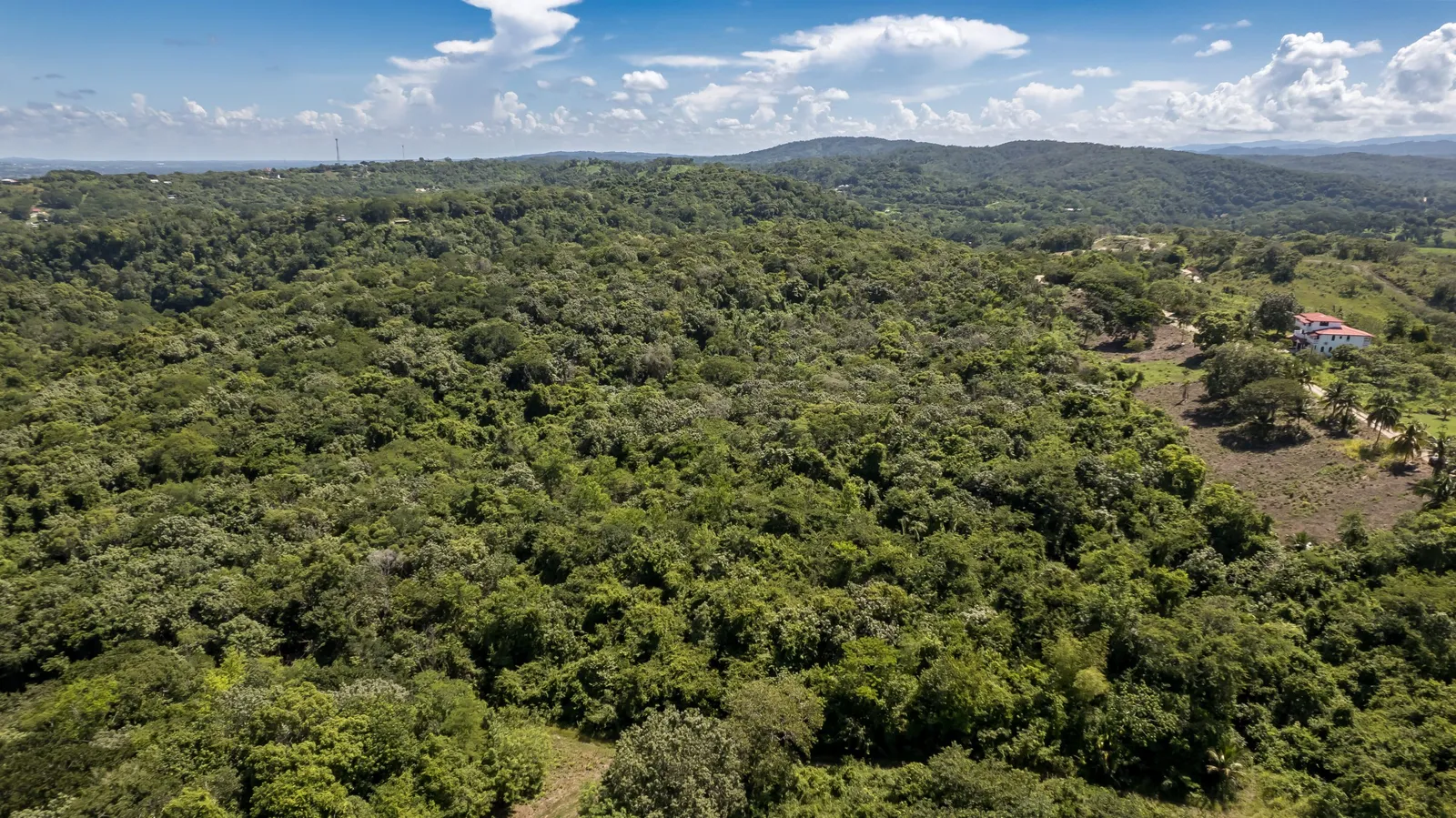 30-Acre Belize Property for Sale San Ignacio – Scenic Land with Creek