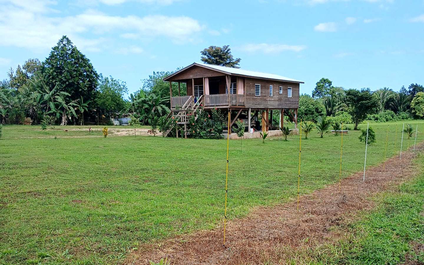Beautiful Home Nestled on 6 acres of land off the Hummingbird Highway