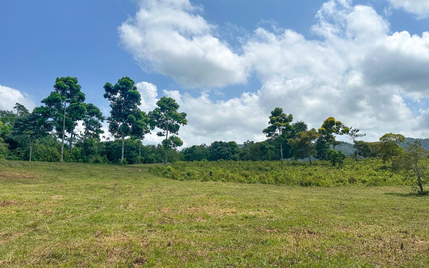 Riverfront Paradise: 30 Acres of Pure Belize Magic! Located off the Hummingbird Highway