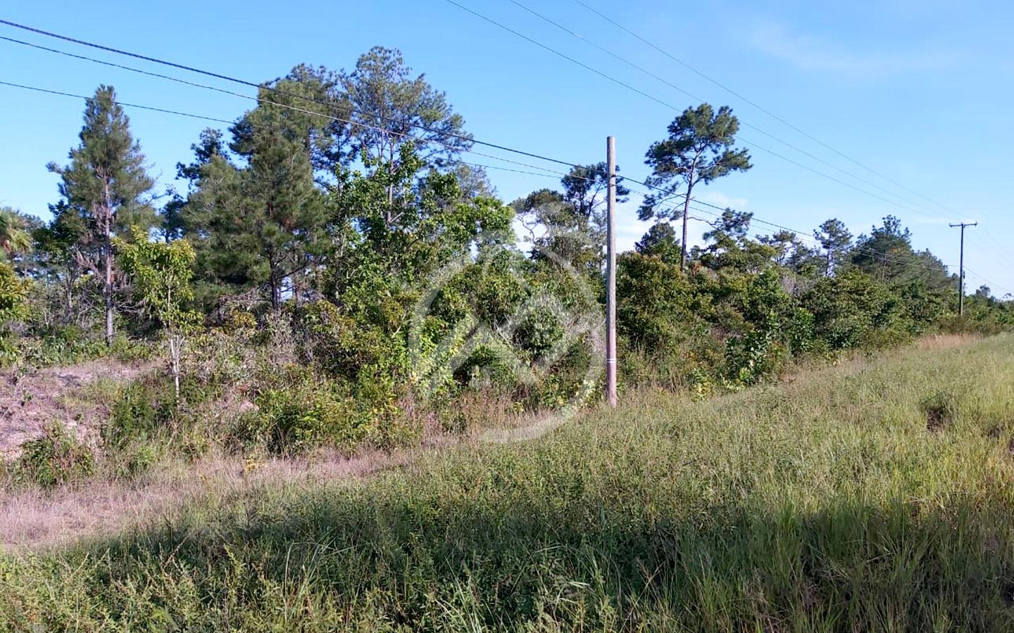 Prime Land: 100 acres Road Frontage land located on the Southern Highway